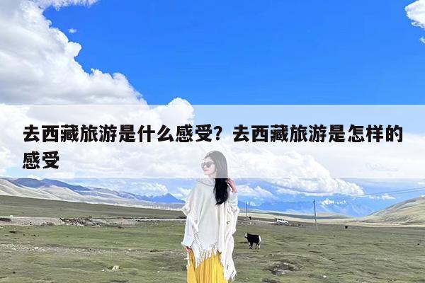 去西藏旅游是什么感受?去西藏旅游是怎样的感受