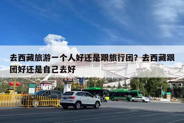 去西藏旅游一个人好还是跟旅行团?去西藏跟团好还是自己去好