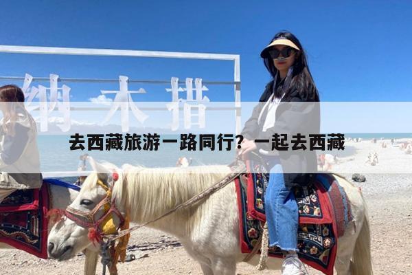 去西藏旅游一路同行?一起去西藏