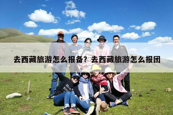 去西藏旅游怎么报备?去西藏旅游怎么报团