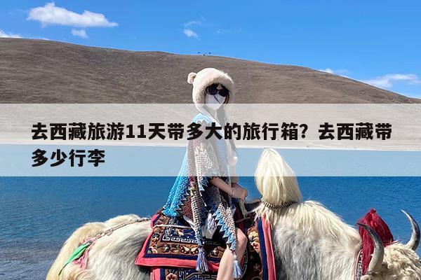 去西藏旅游11天带多大的旅行箱?去西藏带多少行李