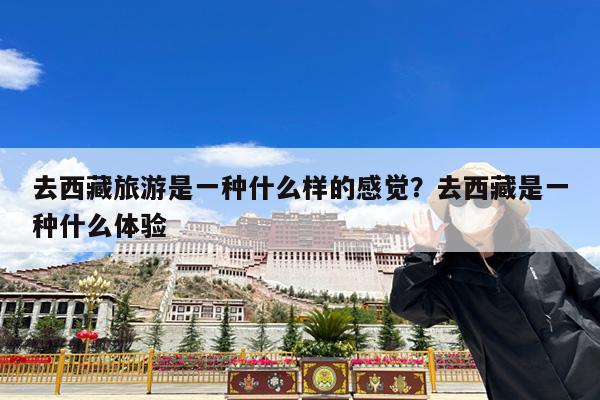 去西藏旅游是一种什么样的感觉?去西藏是一种什么体验