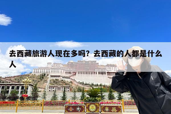 去西藏旅游人现在多吗?去西藏的人都是什么人