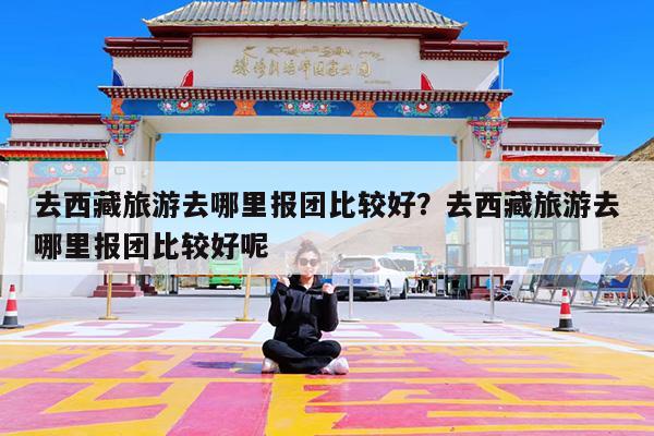 去西藏旅游去哪里报团比较好?去西藏旅游去哪里报团比较好呢
