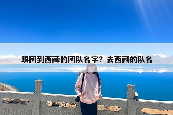 跟团到西藏的团队名字?去西藏的队名
