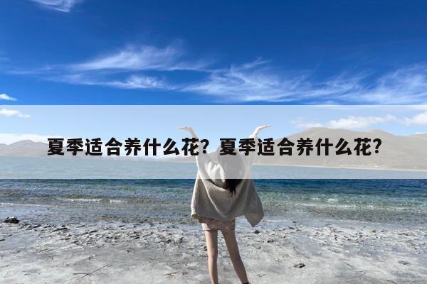 夏季适合养什么花?夏季适合养什么花?