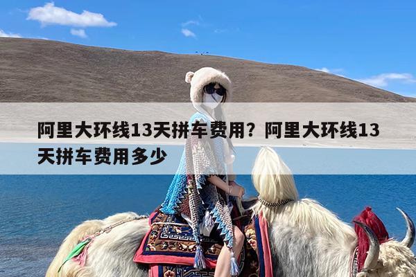 阿里大环线13天拼车费用?阿里大环线13天拼车费用多少