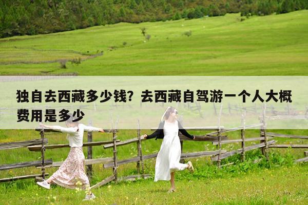 独自去西藏多少钱?去西藏自驾游一个人大概费用是多少