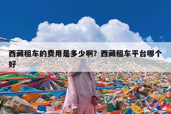 西藏租车的费用是多少啊?西藏租车平台哪个好