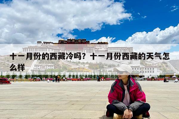 十一月份的西藏冷吗?十一月份西藏的天气怎么样