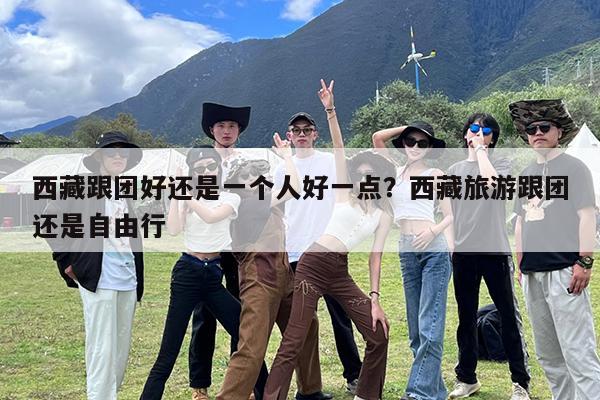 西藏跟团好还是一个人好一点?西藏旅游跟团还是自由行
