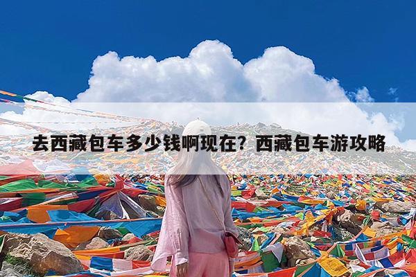 去西藏包车多少钱啊现在?西藏包车游攻略