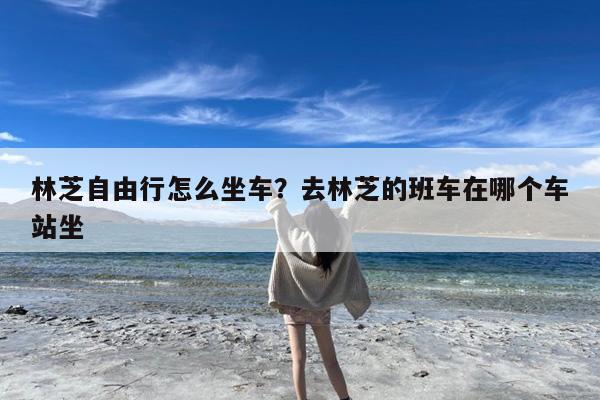 林芝自由行怎么坐车?去林芝的班车在哪个车站坐