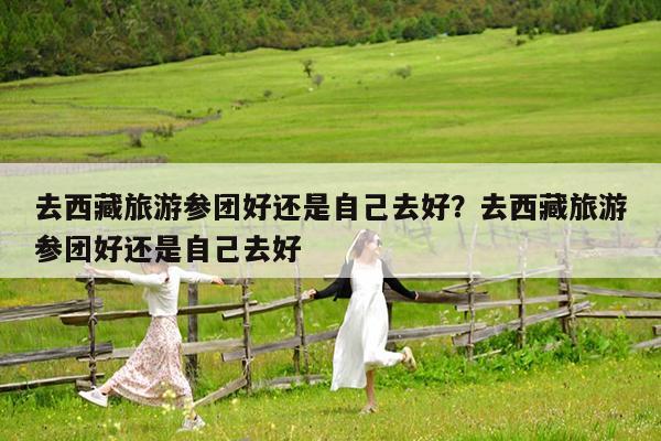 去西藏旅游参团好还是自己去好?去西藏旅游参团好还是自己去好