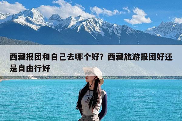 西藏报团和自己去哪个好?西藏旅游报团好还是自由行好