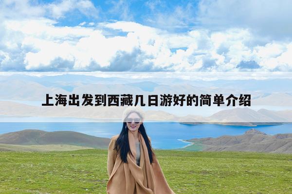 上海出发到西藏几日游好的简单介绍