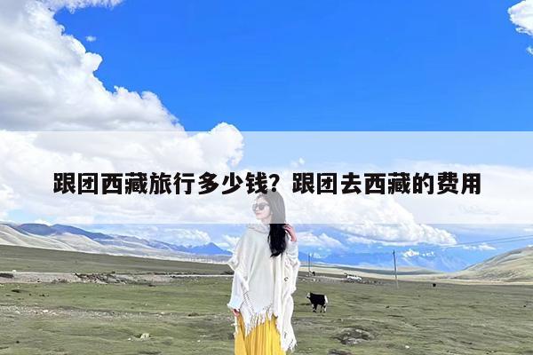 跟团西藏旅行多少钱?跟团去西藏的费用