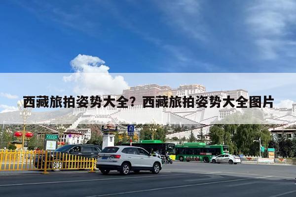 西藏旅拍姿势大全?西藏旅拍姿势大全图片