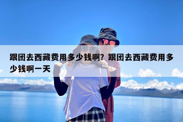 跟团去西藏费用多少钱啊?跟团去西藏费用多少钱啊一天
