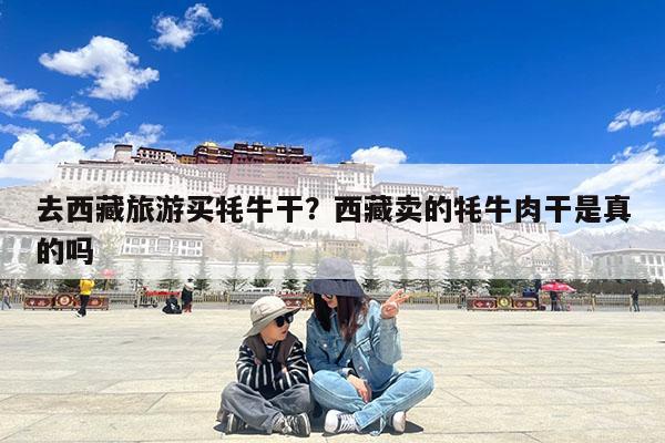 去西藏旅游买牦牛干?西藏卖的牦牛肉干是真的吗